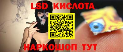мяу мяу мука Будённовск